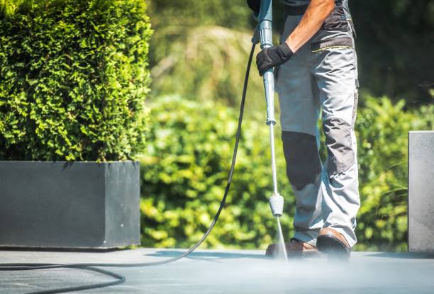 Best Fence Cleaning and Maintenance in Elgin, MN