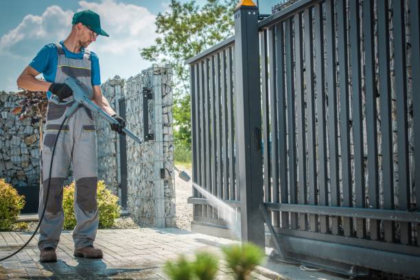Best Soft Washing for Delicate Surfaces in Elgin, MN