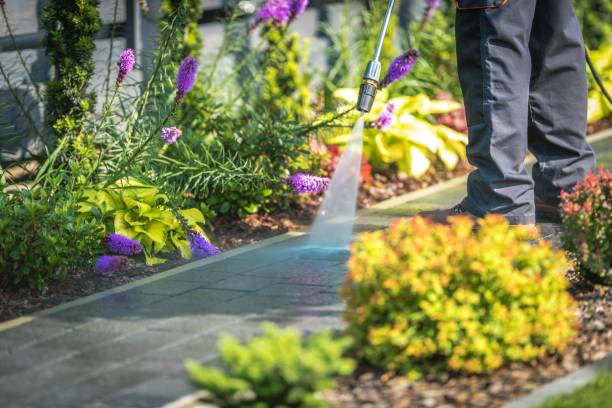 Best Building Exterior Pressure Washing in Elgin, MN