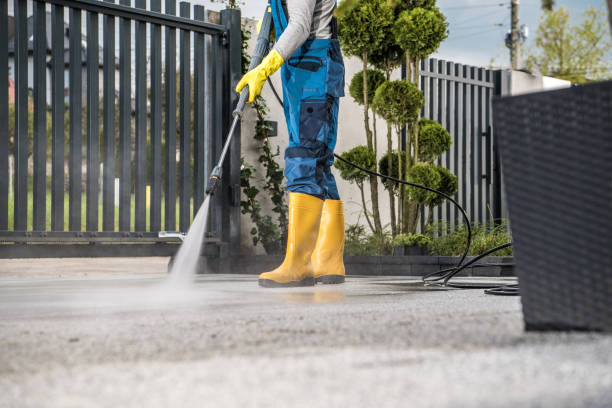 Best Driveway Cleaning and Restoration in Elgin, MN